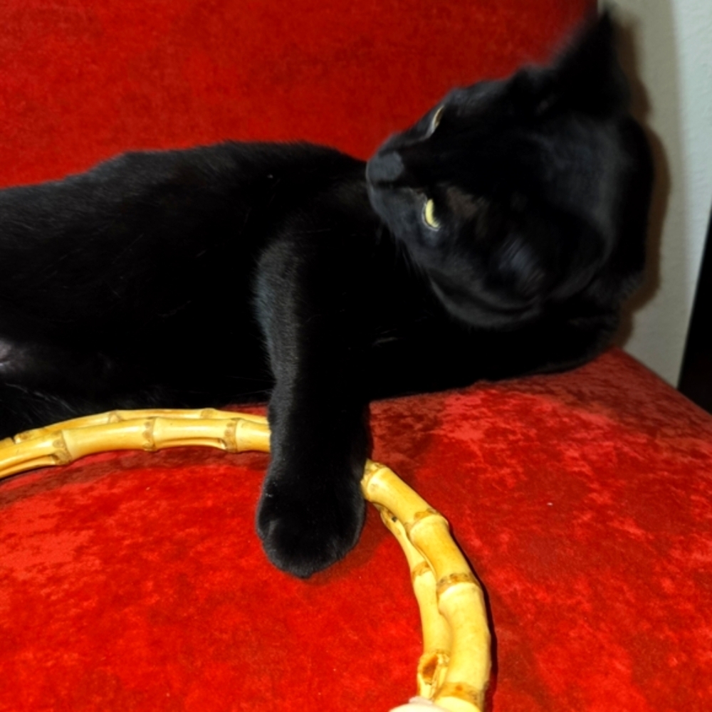 a. Neck Tie Patchwork Upcyled Handbag w/ Bamboo Hoop Handles BOHO BADU FABULOUS - Picture 13 of 15